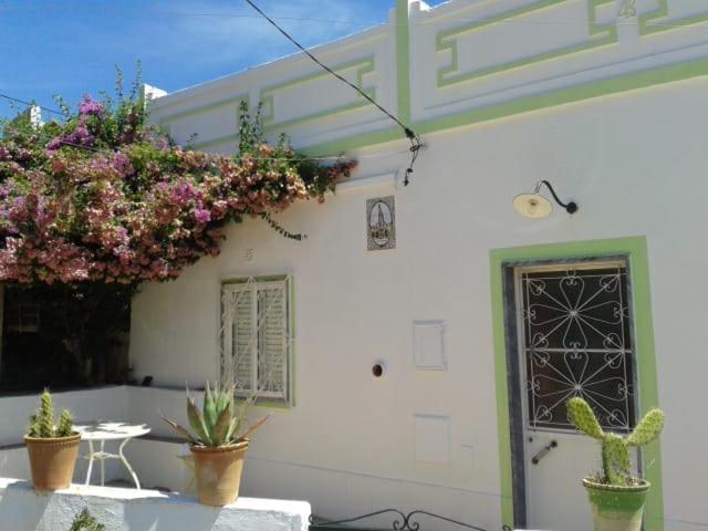 Casa Da Cabeca Hotel Azinheiro Luaran gambar