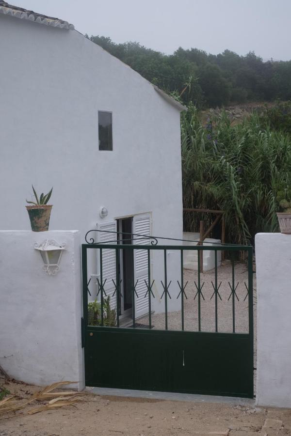 Casa Da Cabeca Hotel Azinheiro Luaran gambar