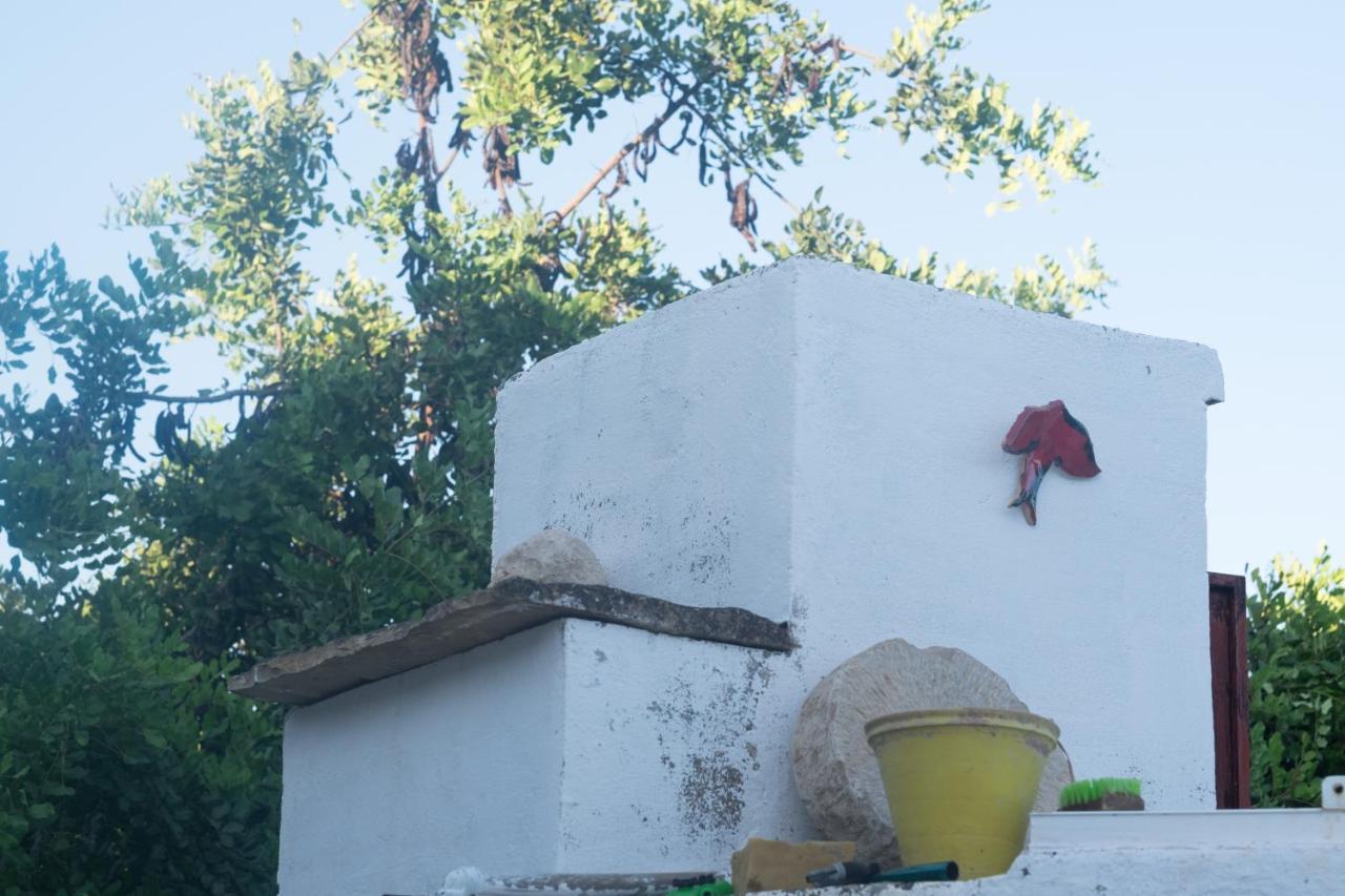 Casa Da Cabeca Hotel Azinheiro Luaran gambar